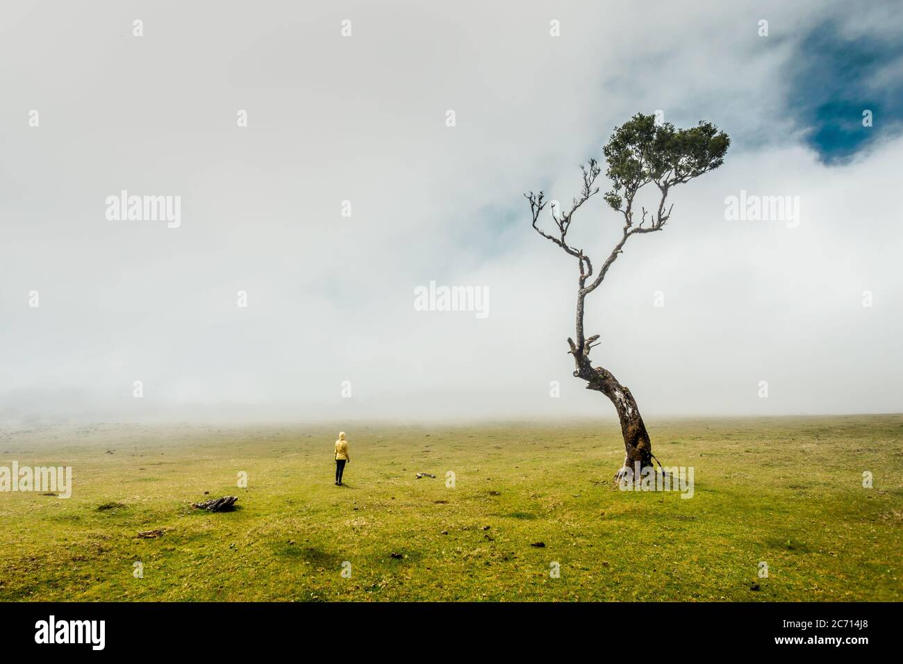 Viaggiatore sentimento donna la potenza della natura in una antica foresta Foto Stock