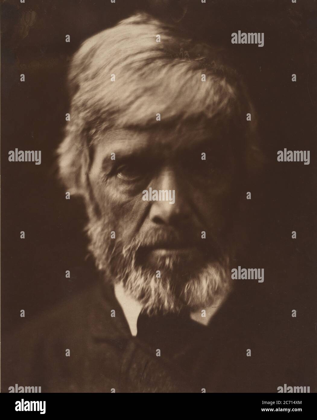 Thomas Carlyle, 1867. Foto Stock