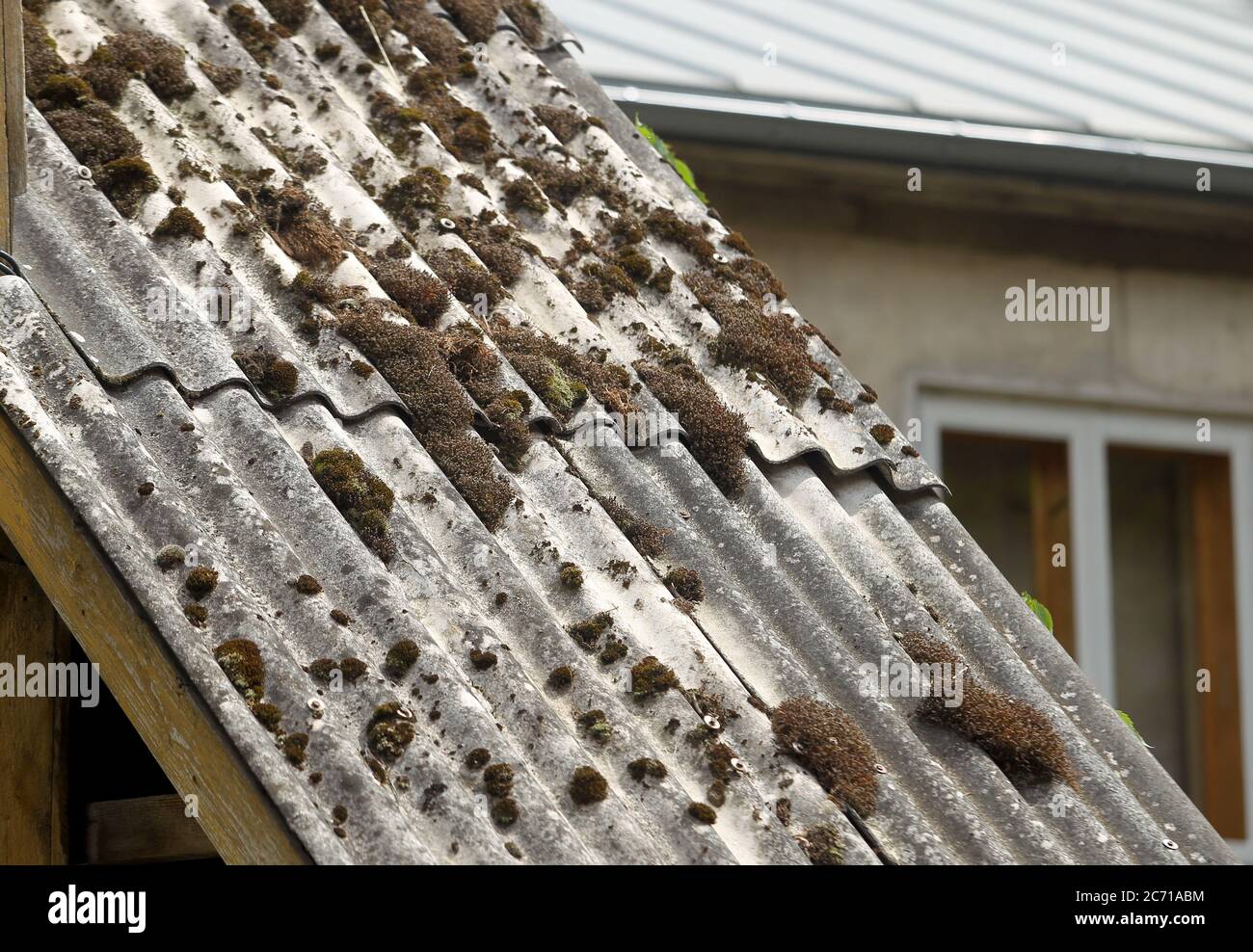 Vecchio tetto di ardesia coperto di muschio e rami asciutti. Lettonia Foto Stock