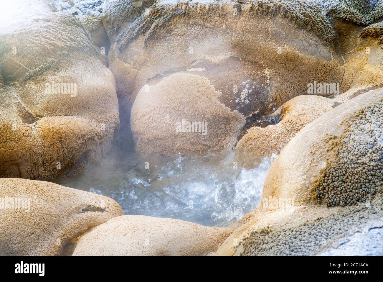 Piscina con idromassaggio Biscuit Basin nel parco nazionale di Yellowstone. Foto Stock