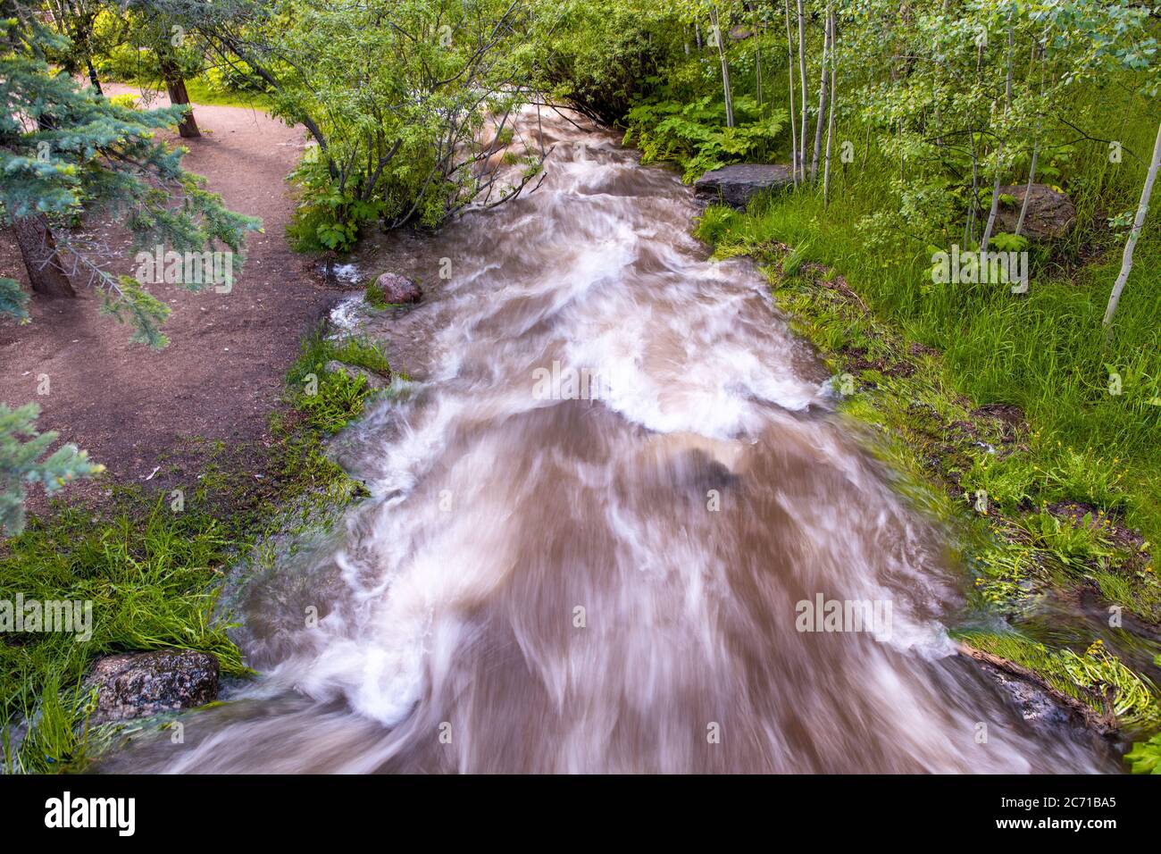 Acqua fluente veloce di una bella cascata nel bosco. Foto Stock
