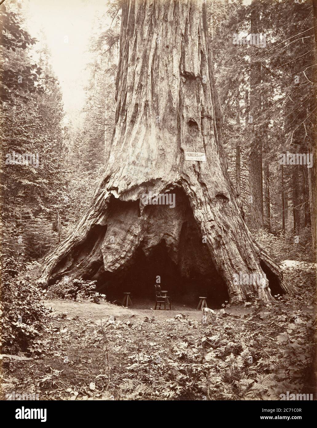 Pioneer's Cabin, 1865-66, stampato ca. 1876. Foto Stock