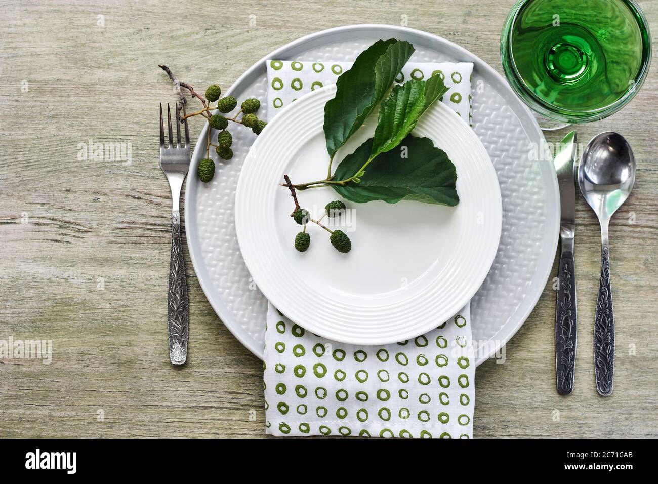 Impostazione del tavolo estivo in tonalità verde. Piatti, posate, tovaglioli e alder ramo. Foto Stock