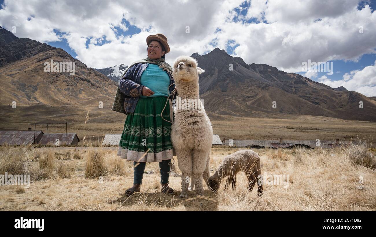 Arequipa, Perù - Settembre 2017: Donna peruviana con lama e alpaca. Foto Stock