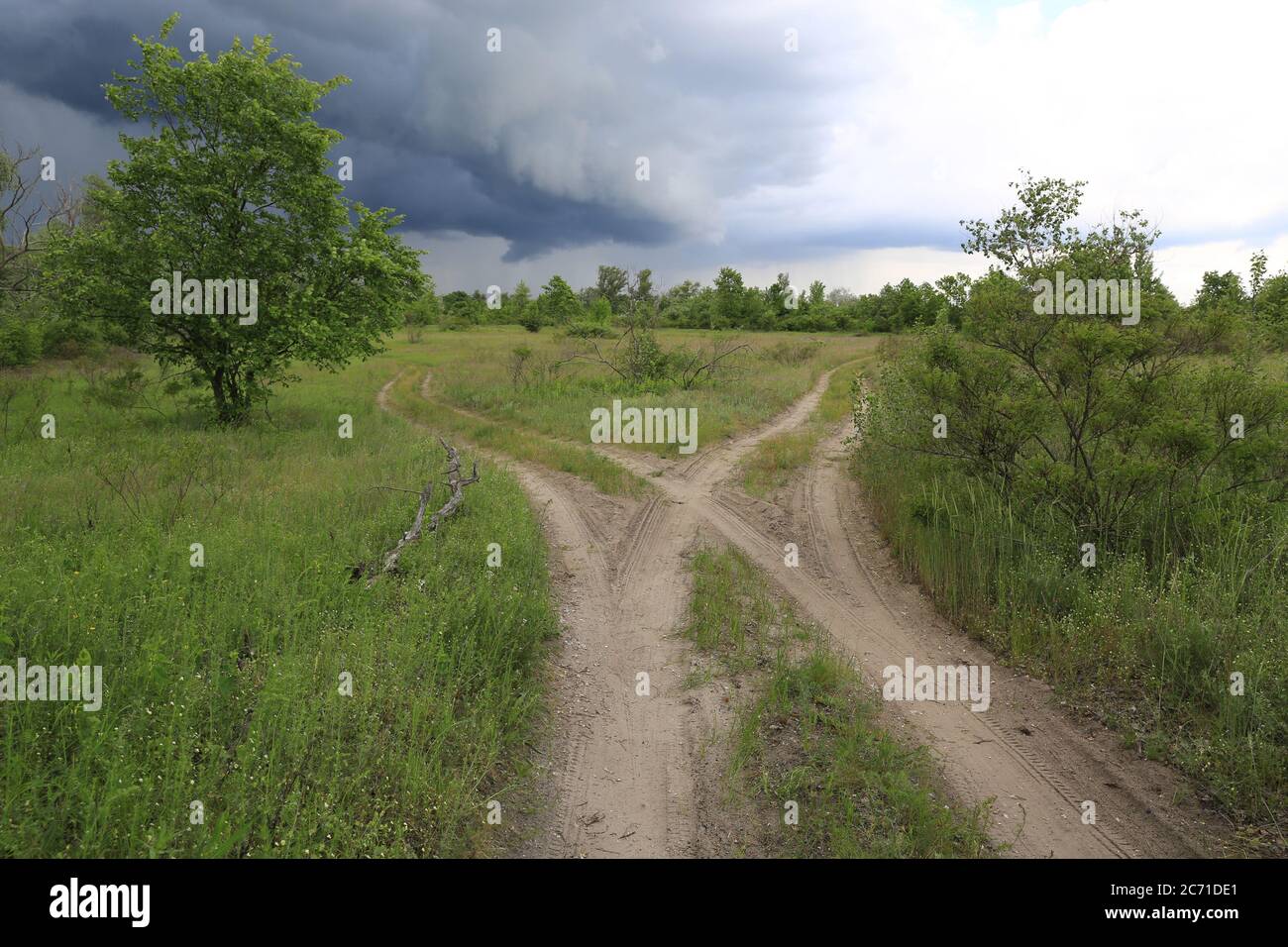 Paesaggio con strade a forchetta in verde steppa prima della tempesta, Ucraina Foto Stock