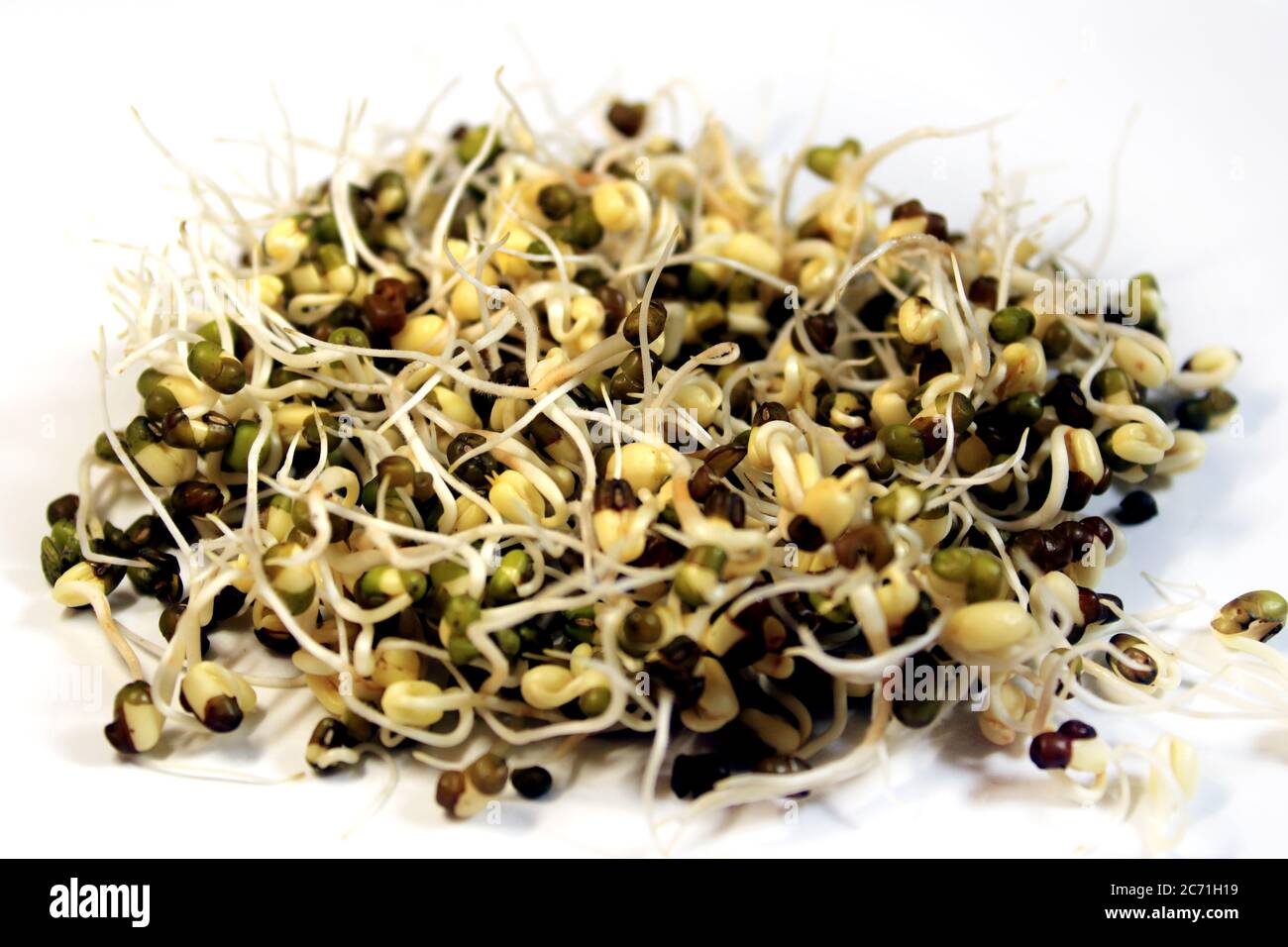 Grammo verde germogliato fresco isolato con fondo bianco. Fagioli freschi e sani germogli o moong. Foto Stock