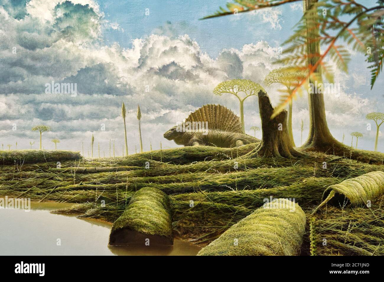 Vita nelle paludi di Carboniferi 300 milioni di anni fa Foto Stock