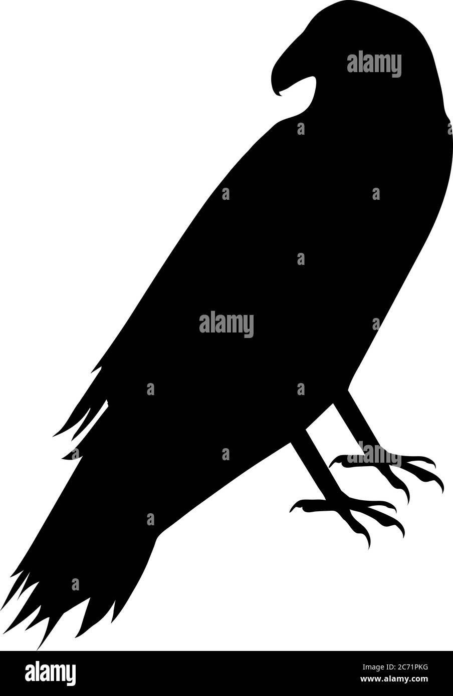 Illustrazione di Raven arroccato Foto Stock