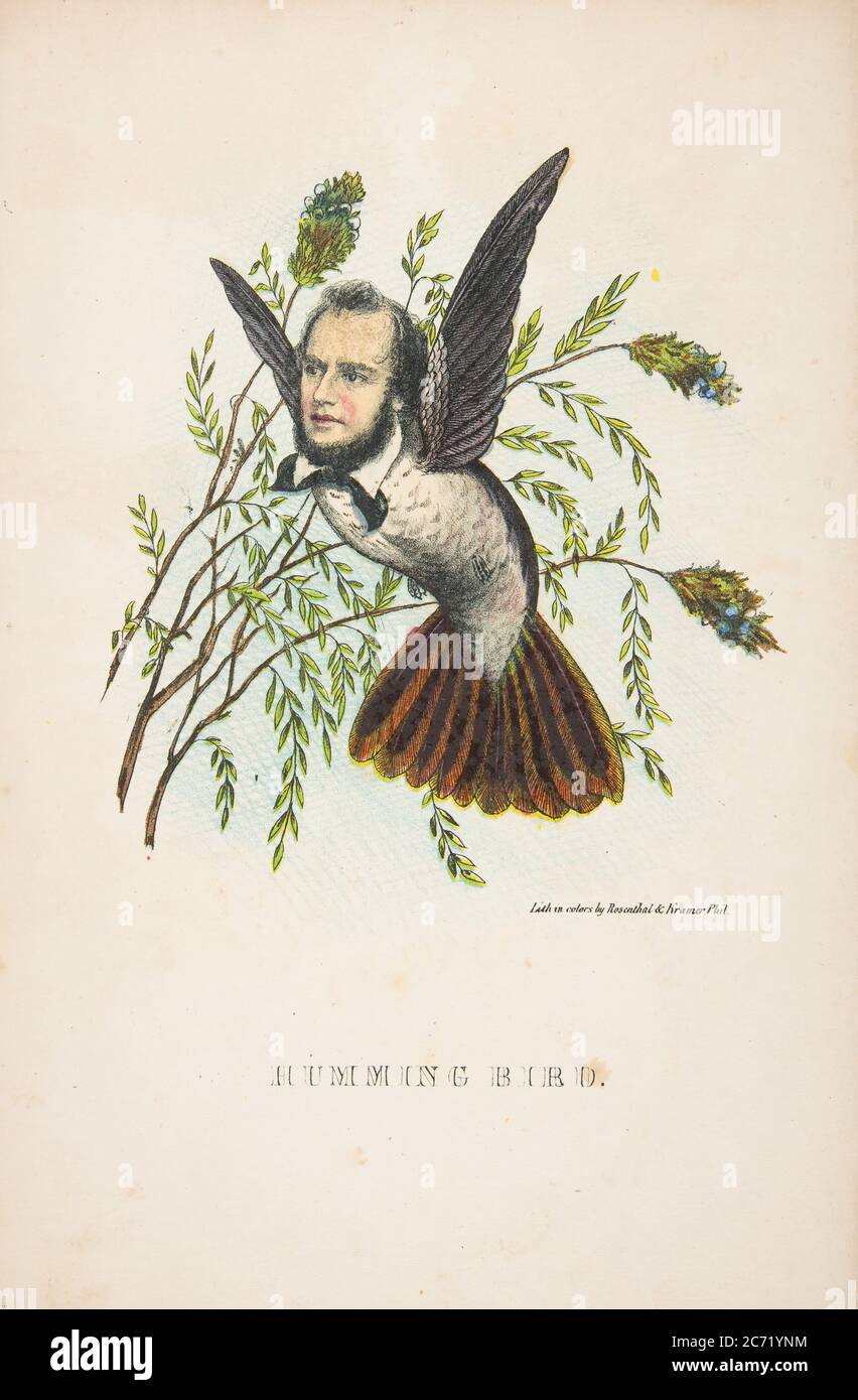 Uccello Cumming (Thomas B. Florence), tratto dalla Storia Naturale Comica della razza umana, 1851. Foto Stock