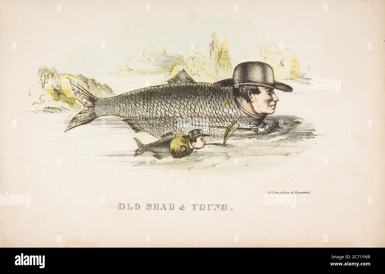 Old Shad &amp; Young, dalla storia naturale comica della razza umana, 1851. Foto Stock