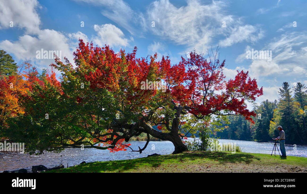 Foto del colore delle foglie autunnali nel lago Ontario. Foto Stock