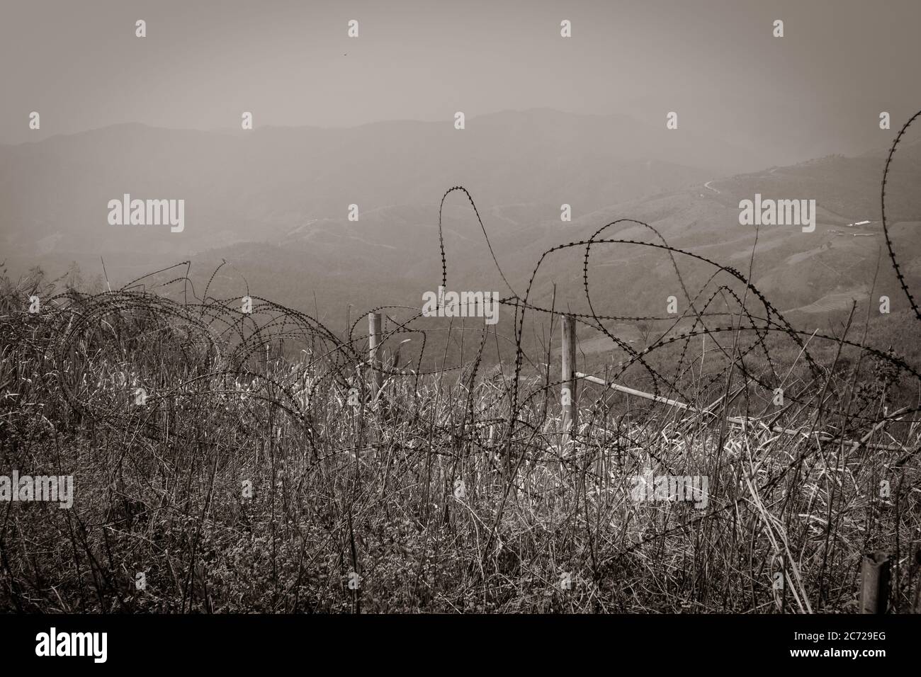 Paesaggio intricato filo spinato nella guerra del Vietnam Foto Stock