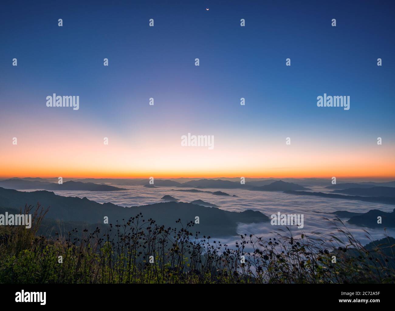 Splendido paesaggio naturale nebbia di mare con il sole della prima mattina luminoso Mountain'Phu Chi FAH' attrazioni Chiang Rai Thailandia Foto Stock