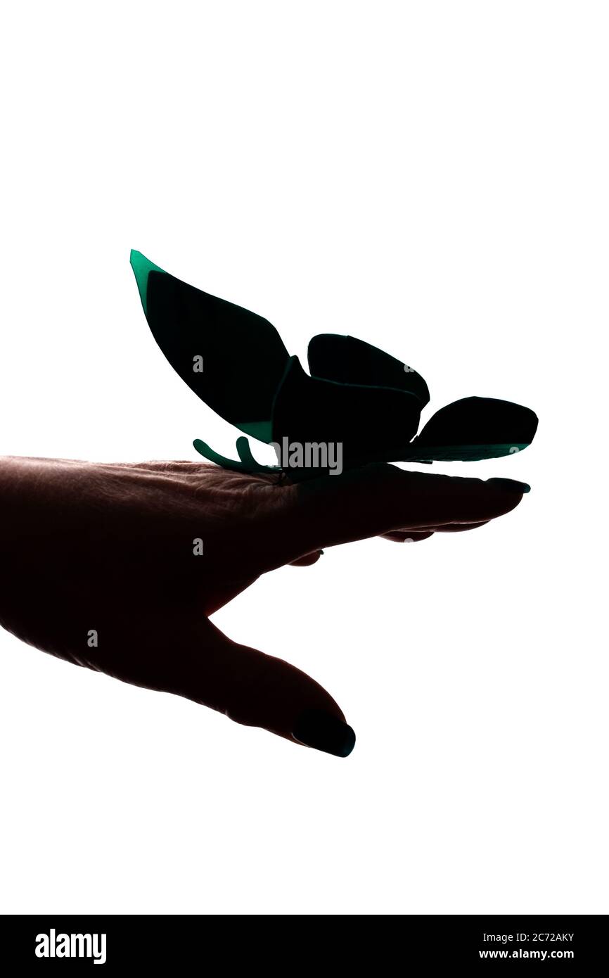 Mano femminile con farfalla artificiale, layout farfalla - silhouette isolato amore Foto Stock