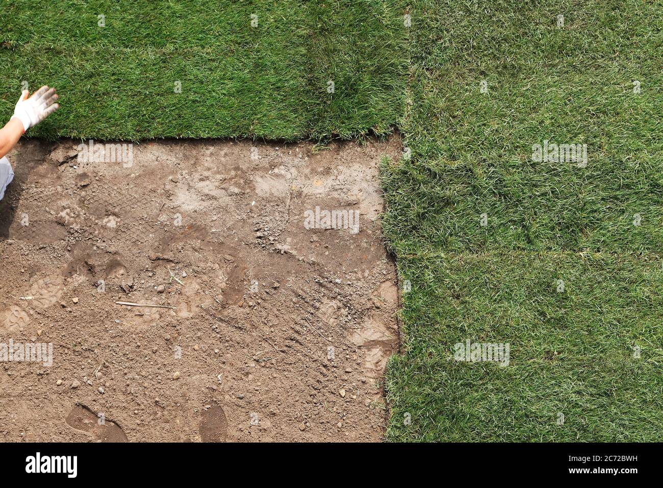 Paesaggista installazione di nuove erba da un rotolo. Giardino a tema Foto Stock