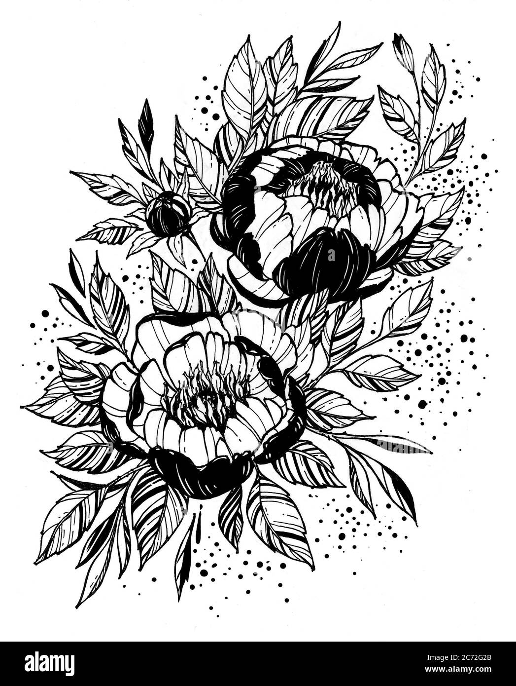 Ramo tatuaggio di fiori. Ramo di peonia in fiore Foto Stock
