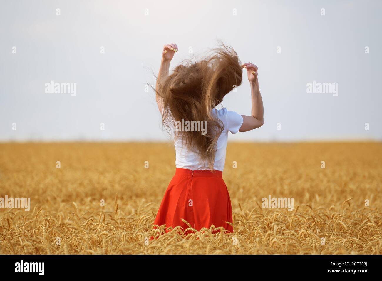 Ragazza con capelli lunghi e belli in piedi nel mezzo del campo di grano. Capelli sani e naturali. Foto Stock