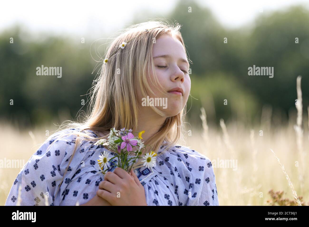 Una giovane ragazza hippy graziosa con una catena a margherita nei suoi capelli biondi tiene un poy dei fiori selvatici nel sole in un campo di pascolo in estate. Foto Stock