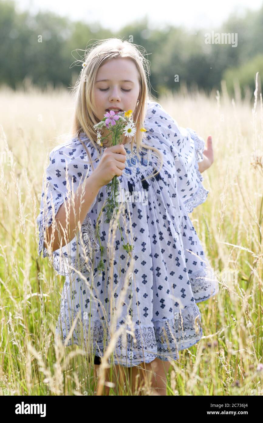 Una giovane ragazza hippy graziosa con catena daisy nei suoi capelli biondi tiene un poy dei fiori selvatici nel sole in un campo di pascolo in estate. Foto Stock