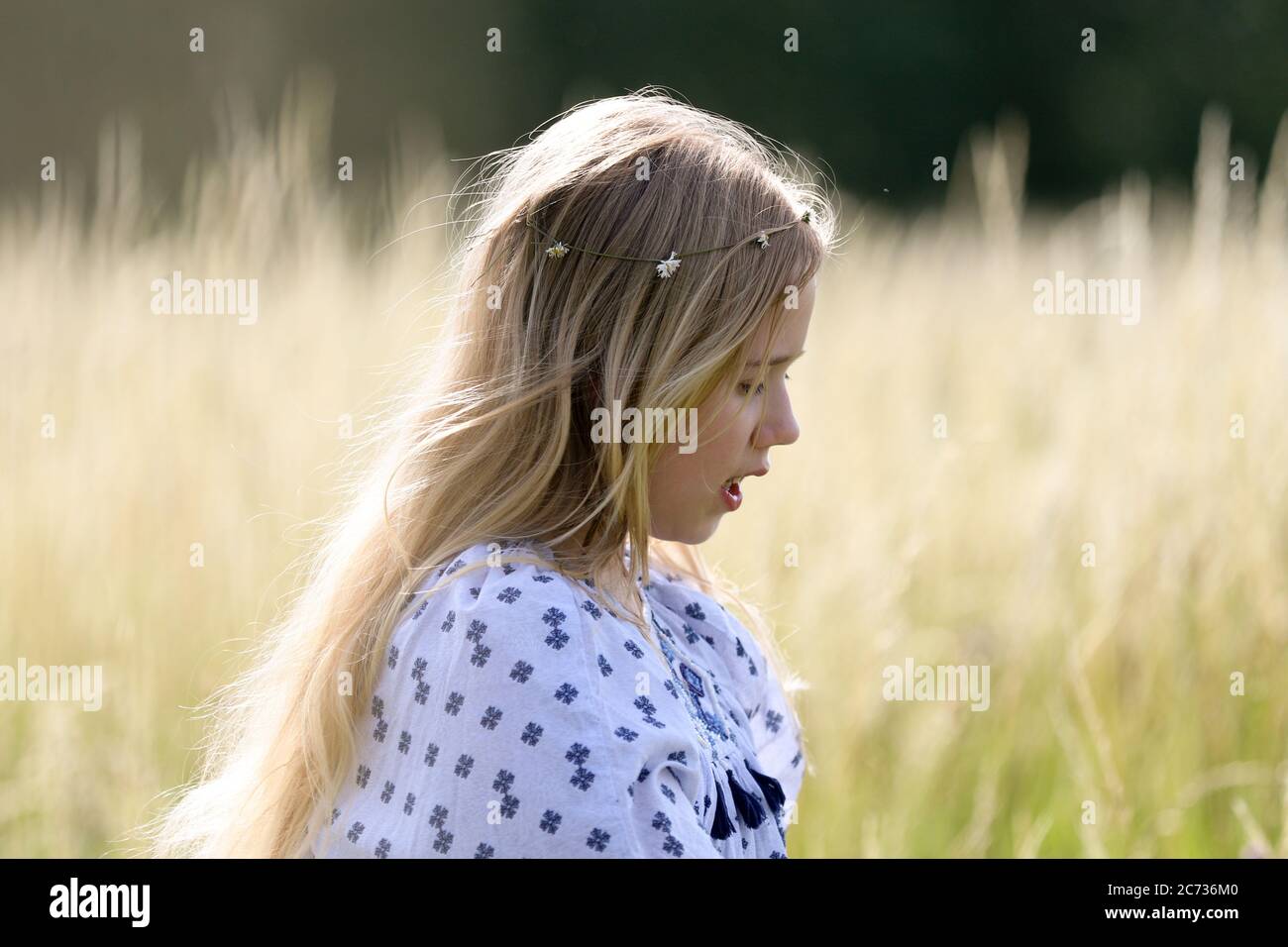 Una giovane ragazza hippy graziosa con una catena a margherita nei suoi capelli biondi cammina nell'erba lunga nel sole in un campo di pascolo in estate. Foto Stock