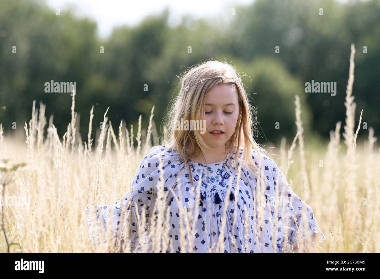 Una giovane ragazza hippy graziosa con una catena a margherita nei suoi capelli biondi cammina nell'erba lunga nel sole in un campo di pascolo in estate. Foto Stock