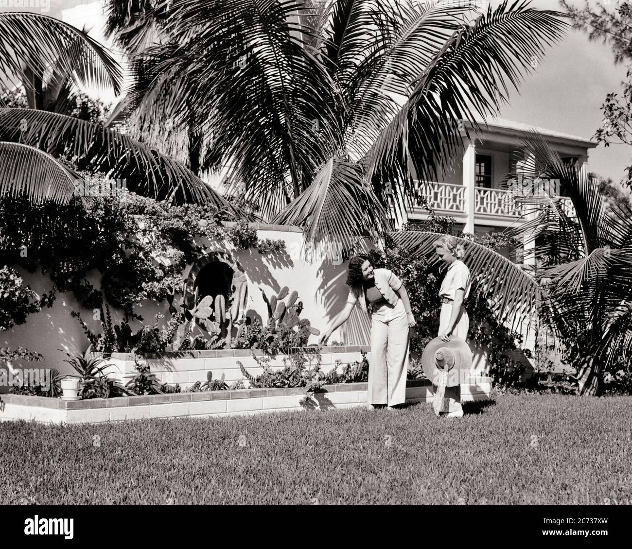 1930 DUE DONNE CHE INDOSSANO PANTALONI CHE CAMMINANO NEL CORTILE AMMIRANDO IL GIARDINO TROPICALE DI HOME TRAMONTO ISOLE MIAMI BEACH FLORIDA - B2166 HAR001 HARS DESIGN STILE DI VITA ARCHITETTURA DONNE CASE CASA VITA NATURA STATI UNITI COPIA SPAZIO AMICIZIA FULL-LENGTH SIGNORE PERSONE RESIDENZIALI STATI UNITI D'AMERICA CARING EDIFICI PIANTE FIDUCIA B&W GIARDINIERE TIME OFF STRUTTURA PROPERTY POSERS CACTUS TRIP EVASIONE VACANZE CASE IMMOBILIARE CONNESSIONE STRUTTURE GIARDINI FRIENDLY RESIDENCE ELEGANTE EDIFICIO CRESCITA PAESAGGIO INSIEME MIAMI BEACH MEDIO-ADULTO DONNA ARBUSTI THERNESS VACANZE AMMIRARE Foto Stock