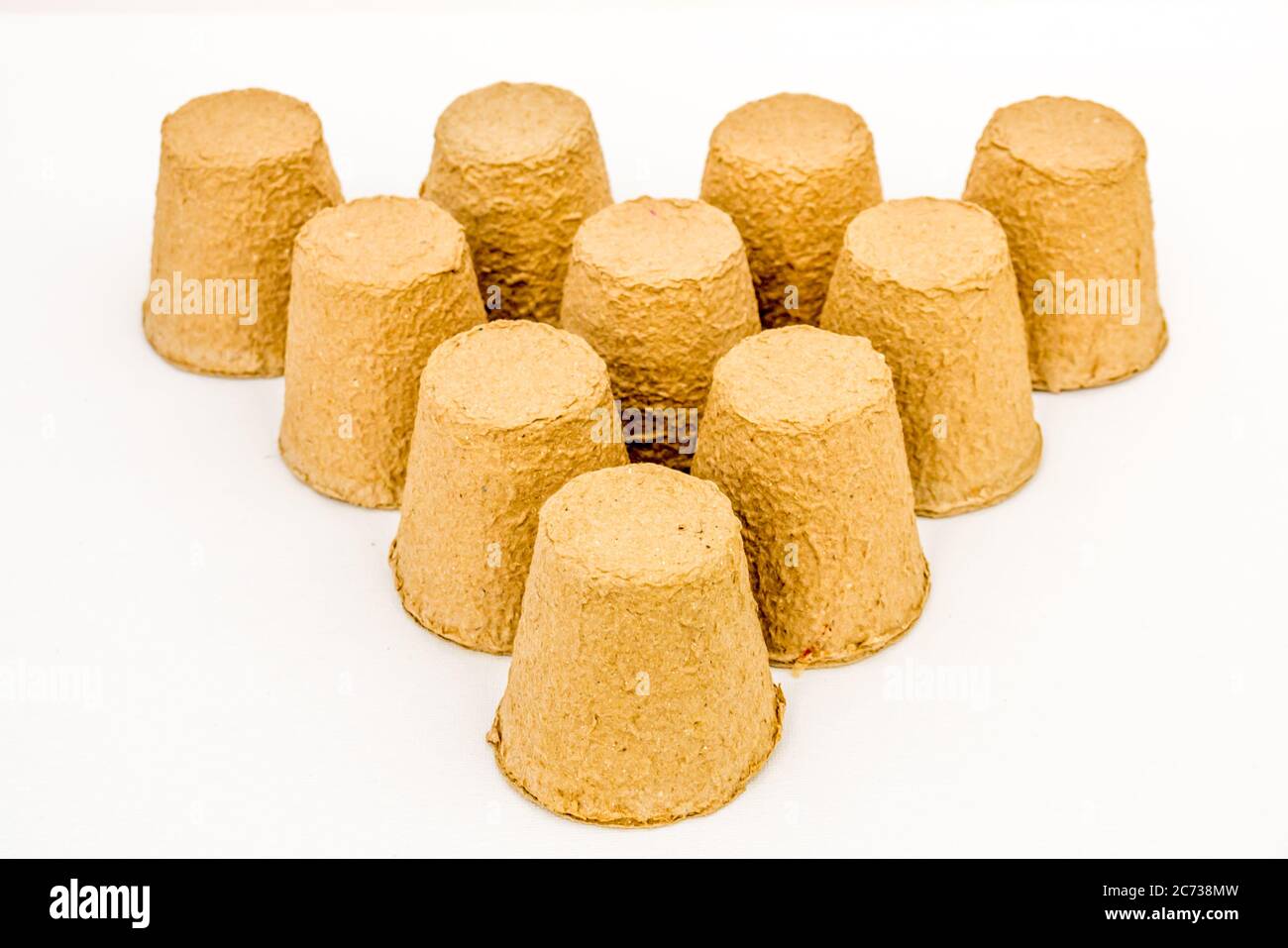 Una fotografia di studio di poots biodegradabili di piante di fibra Foto Stock