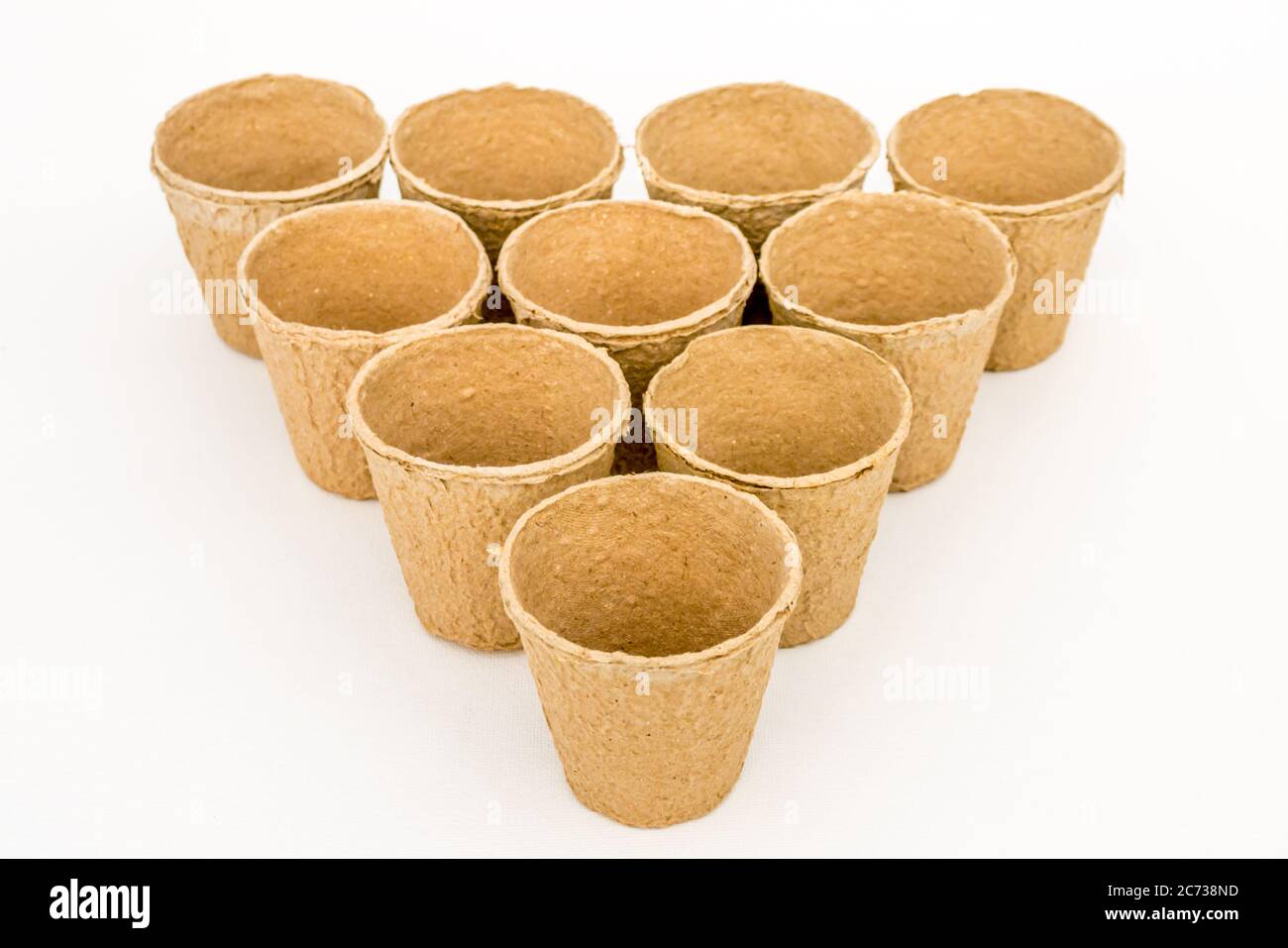 Una fotografia di studio di poots biodegradabili di piante di fibra Foto Stock