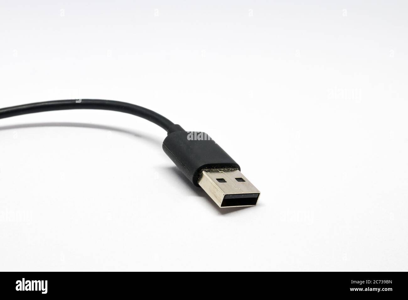 Un cavo maschio e un connettore maschio USB di tipo A. Foto Stock