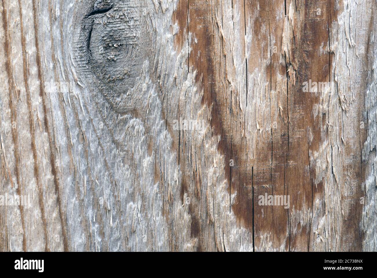 Trama di sfondo in legno d'epoca con nodi Foto Stock