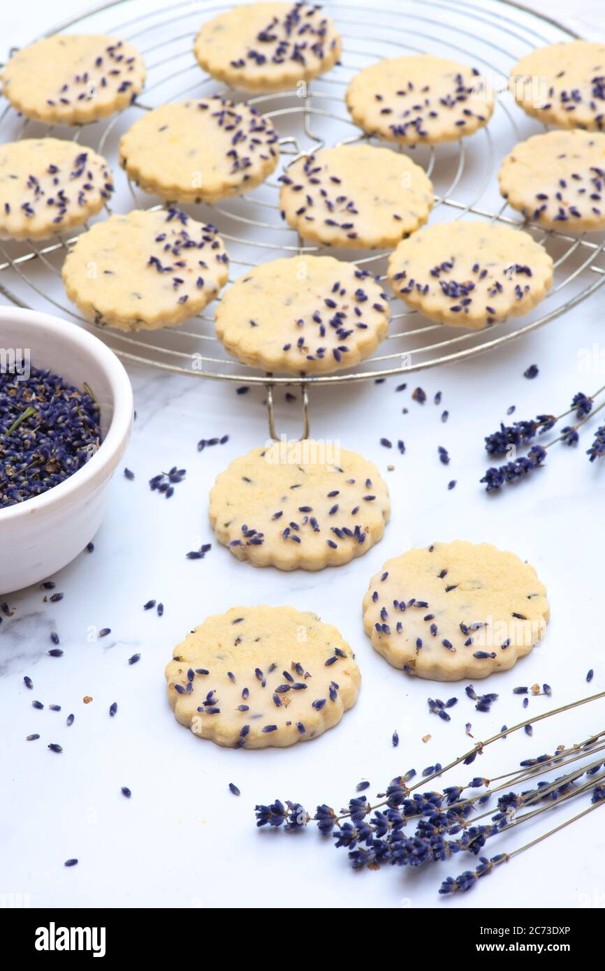 Biscotti fatti in casa con shortbread al limone e lavanda Foto Stock