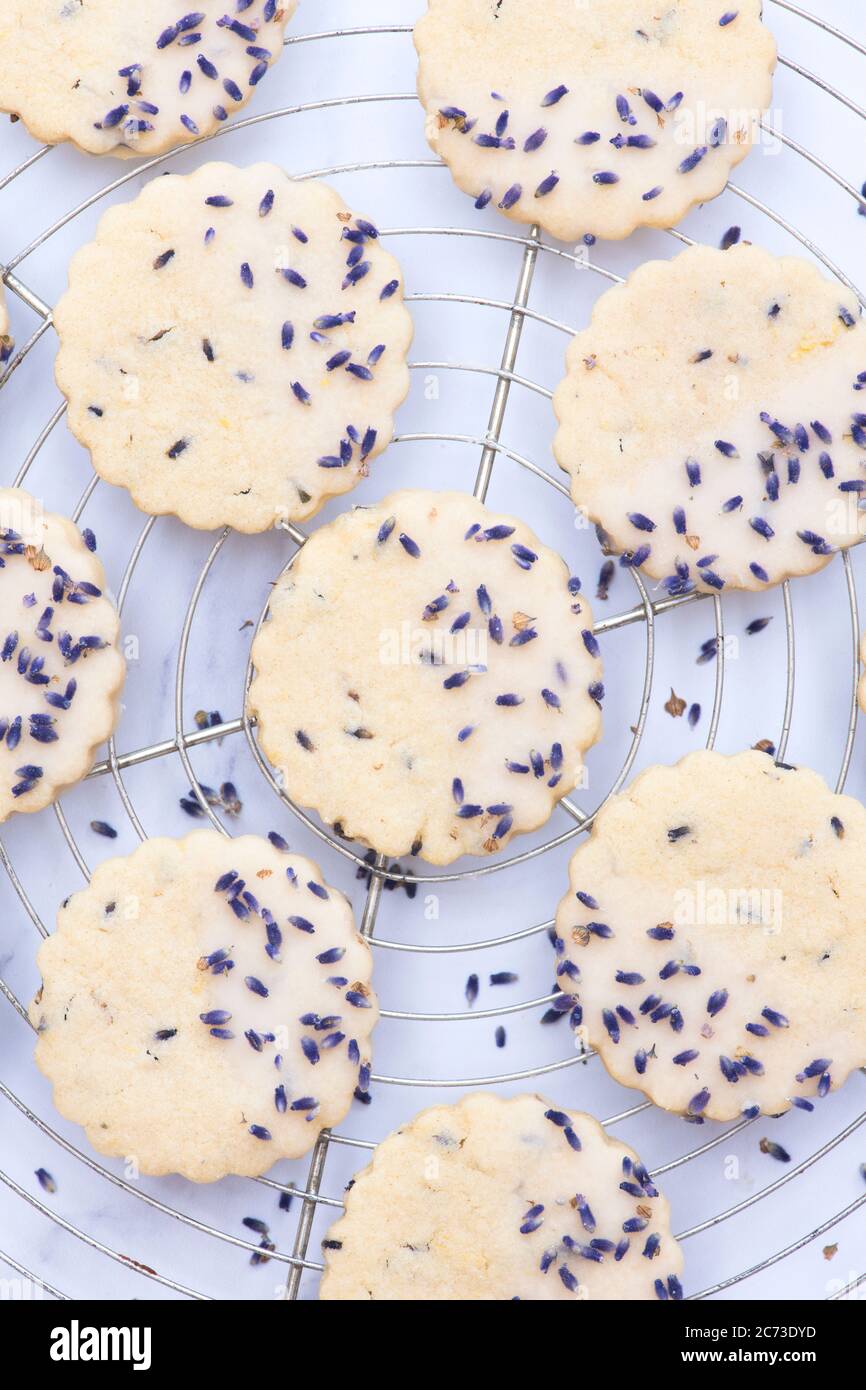 Biscotti fatti in casa con shortbread al limone e lavanda Foto Stock