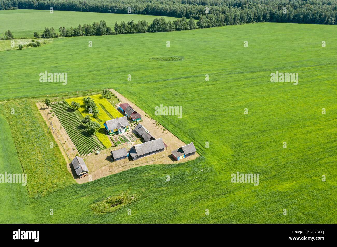 paesaggio rurale con fattoria, campi agricoli verdi e foresta. fotografia aerea in sole giornate estive Foto Stock