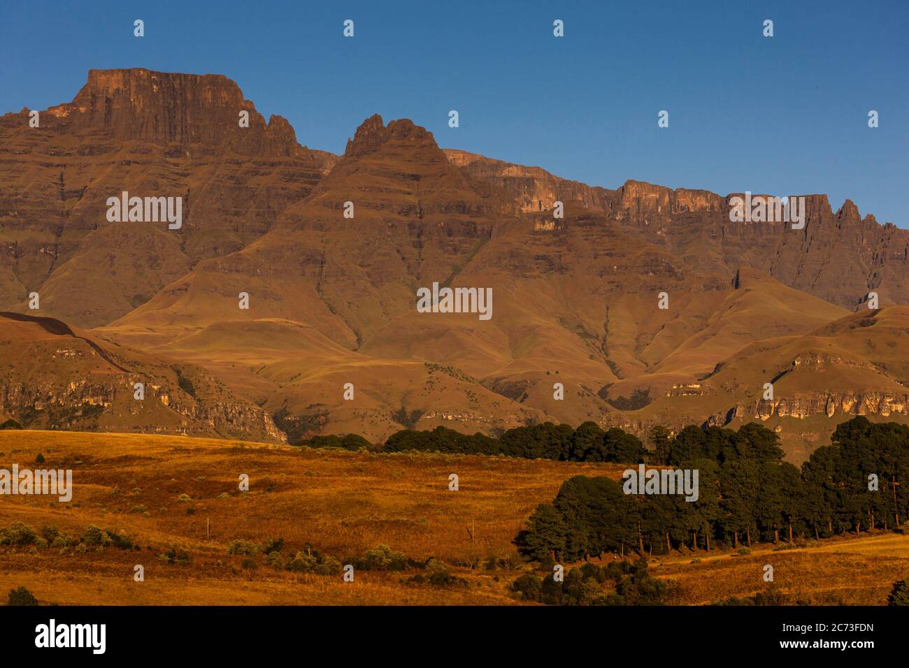 Drakensberg, Champagne Castle montagna, mattina, Giants Castle Game Reserve, Uthukela Distretto, KwaZulu-Natal Provincia, Sudafrica, Africa Foto Stock