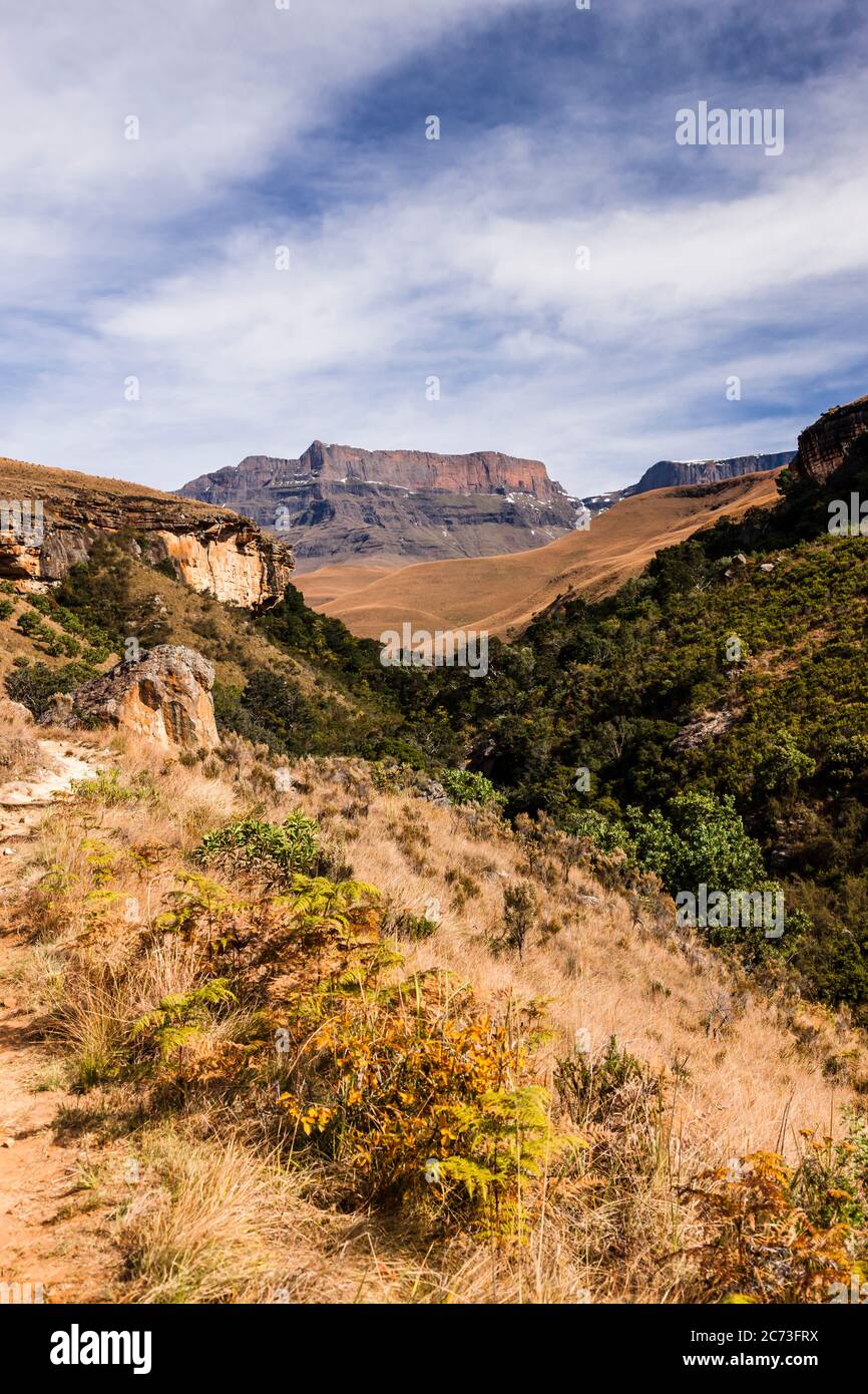 Drakensberg, la montagna del Castello dei Giganti, dal sentiero 'Main Cave', Giants Castle Game Reserve, Uthukela, KwaZulu-Natal, Sudafrica, Africa Foto Stock