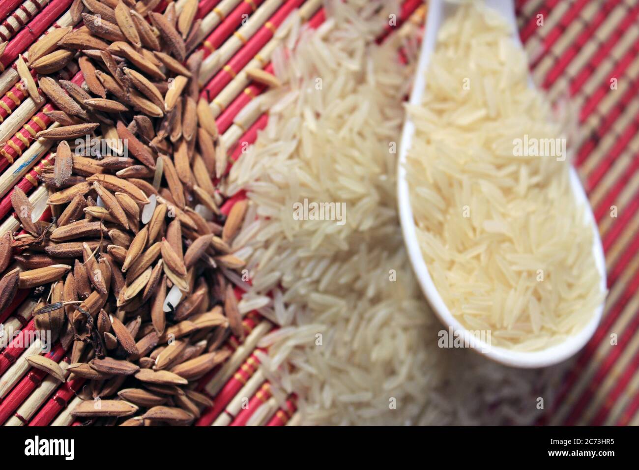 Grani di riso in un cucchiaio di plastica bianca su sfondo multicolore. Macro sfondo di riso bianco. Riso Basmati su un palo isolato su sfondo modello. Foto Stock