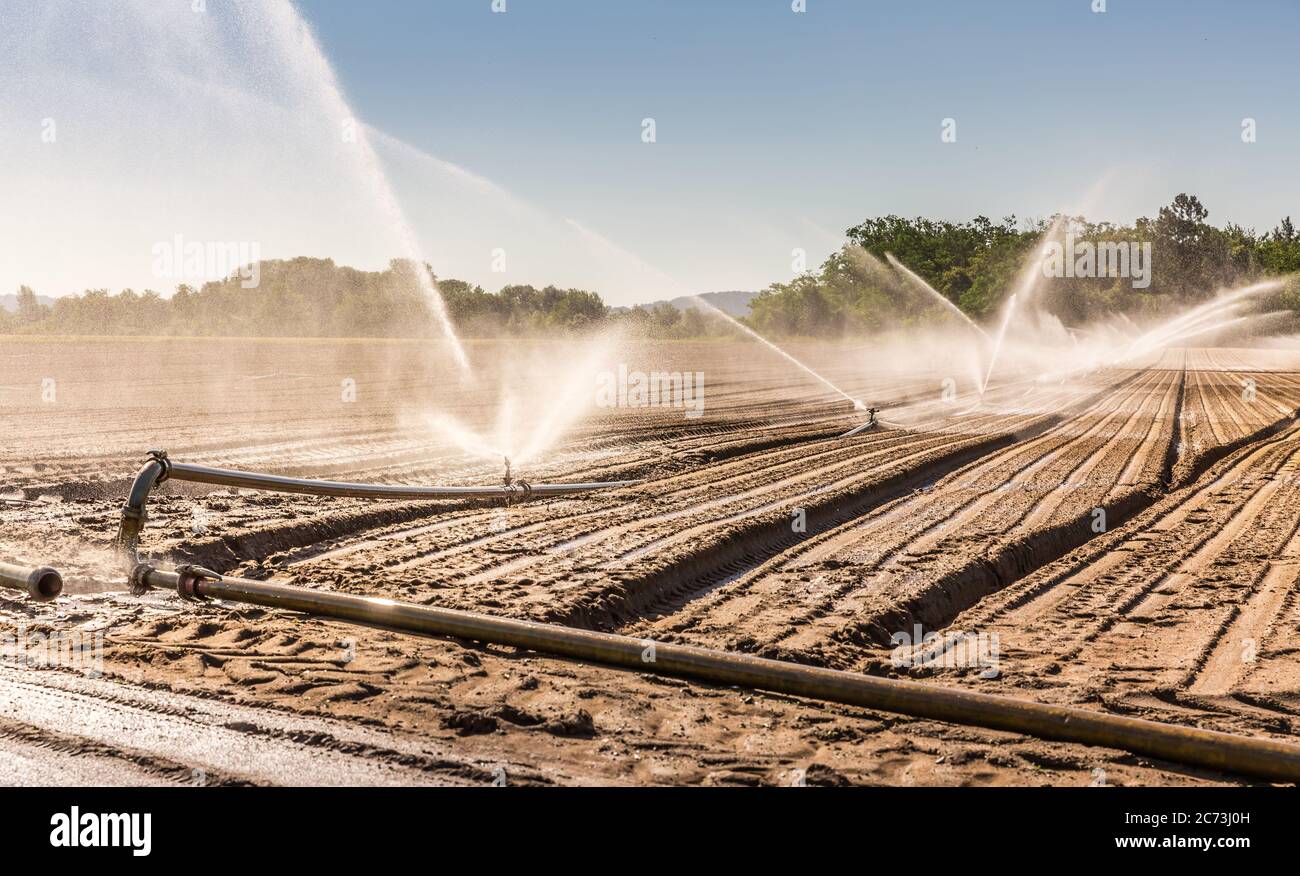 Sistema di irrigazione su un grande campo agricolo. Impianto di installazione sprinkler ad acqua. Foto Stock