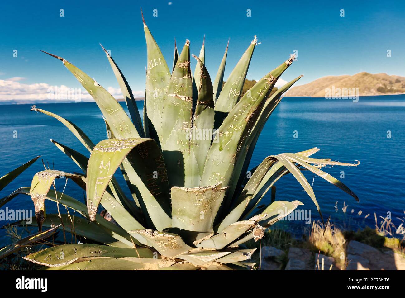 Vista del lago Titicaca al confine tra Perù e Bolivia. Foto Stock