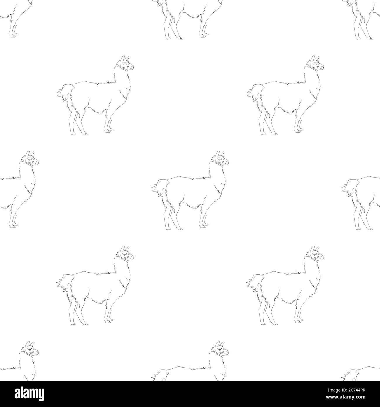 Lama modello senza giunture. Un bellissimo disegno realistico a mano di alpaca o lama. Concetto per sfondo o stampa Illustrazione Vettoriale