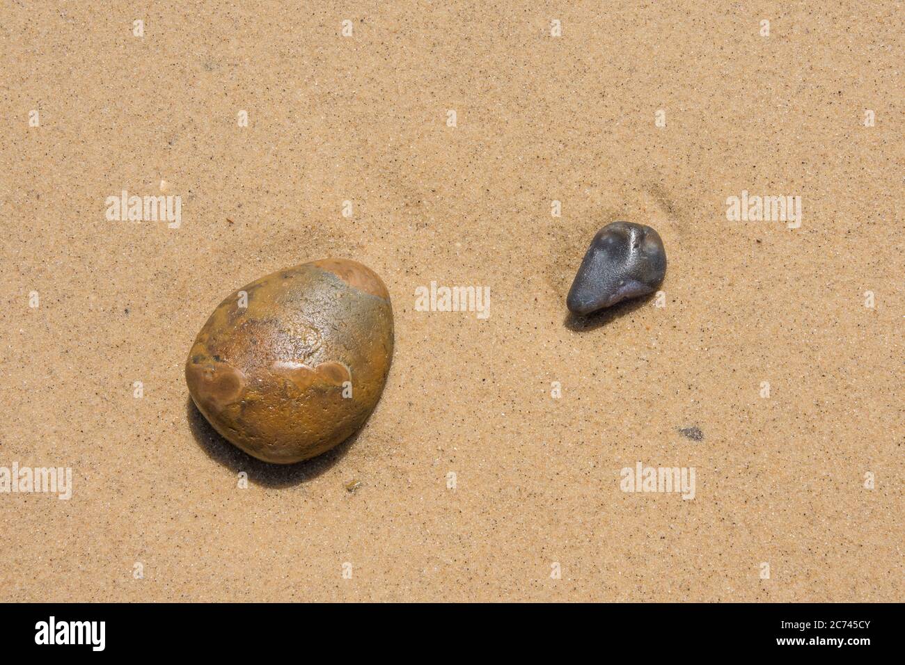 Due ciottoli da spiaggia lisci su uno sfondo di sabbia piatta e bagnata dall'acqua Foto Stock