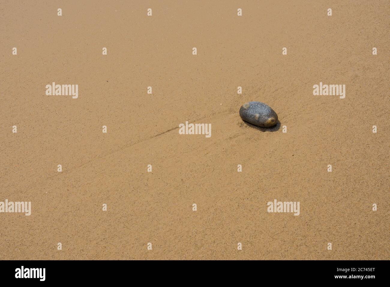 Una spiaggia liscia singola ciottoli su uno sfondo di sabbia liscia lavata con acqua Foto Stock Una spiaggia liscia singola ciottoli su uno sfondo di sabbia liscia lavata con acqua Foto Stock