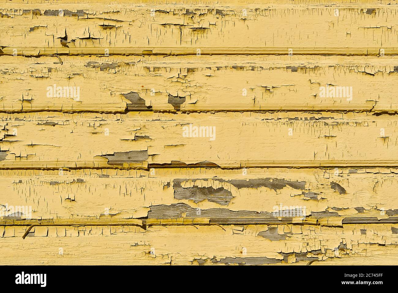 La struttura di vecchie tavole di legno gialle graffiate. Vecchio muro di legno verniciato. Foto Stock