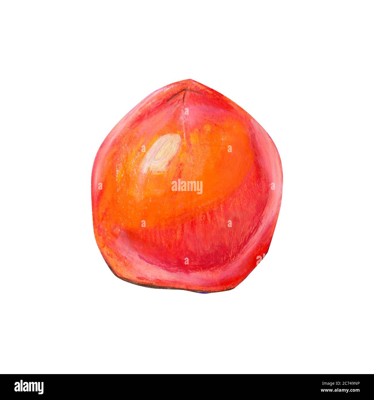 Illustrazione del cibo con pomodoro. Olio pastello alimentare per il design di imballaggio, etichette, e pubblicità. Verdure estive e autunnali isolate su uno sfondo bianco Foto Stock