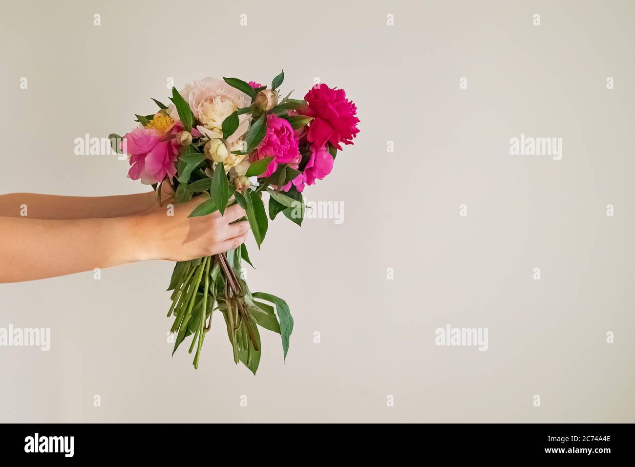 Mani femminili che tengono un bouquet di belle peonie contro la parete bianca Foto Stock