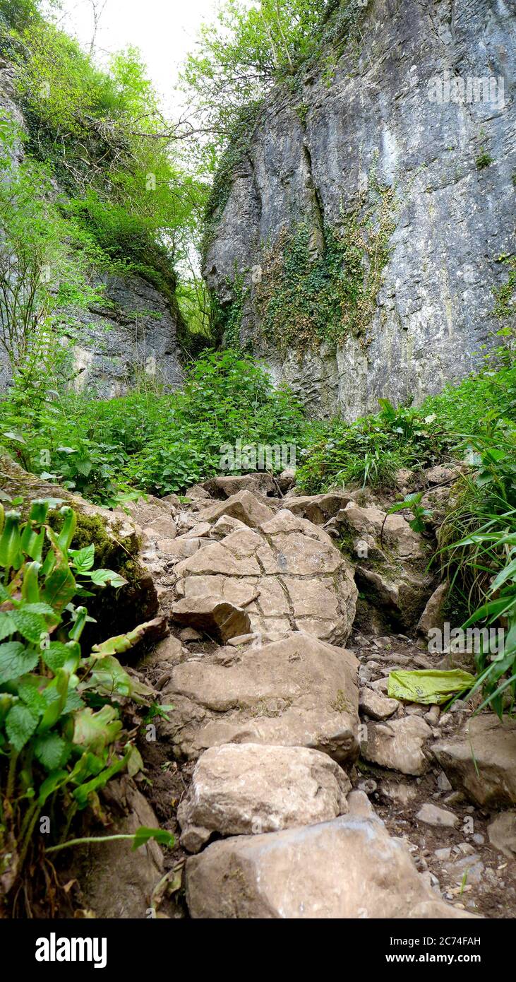 Sentiero roccioso attraverso uno stretto canyon nella foresta della Riserva Naturale Nazionale della Gola di Ebbor. Wookey Hole, Wells, Regno Unito Foto Stock