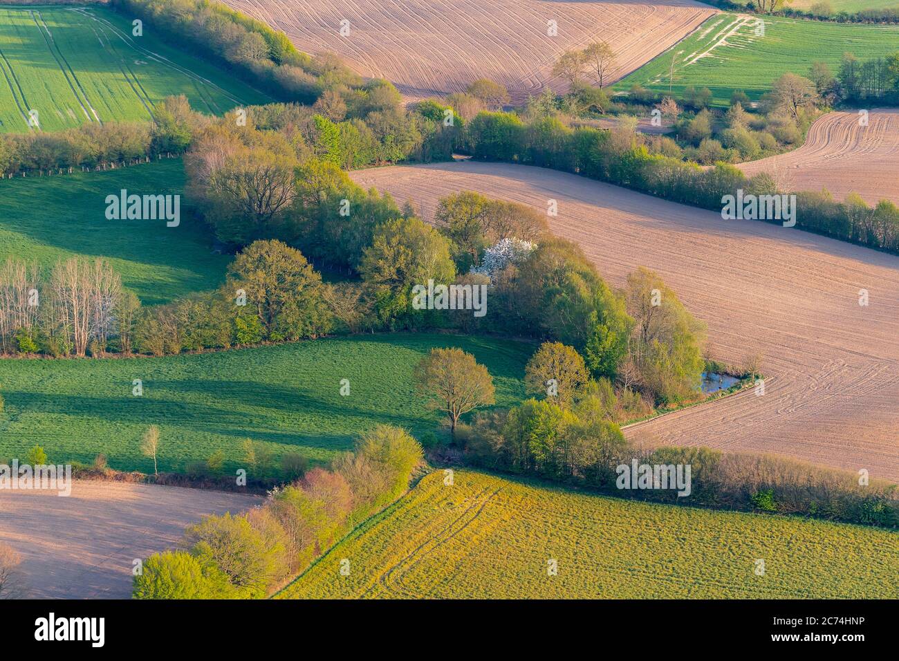 Campo paesaggio con siepi in primavera, 27.04.2020, vista aerea, Germania, Schleswig-Holstein Foto Stock