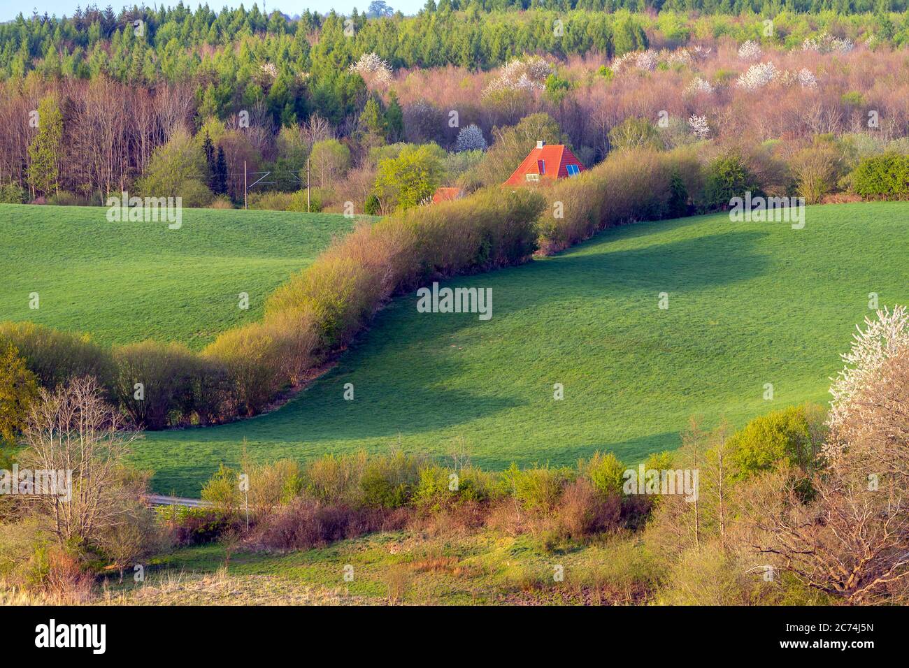 Campo paesaggio con siepi in primavera, 27.04.2020, vista aerea, Germania, Schleswig-Holstein Foto Stock