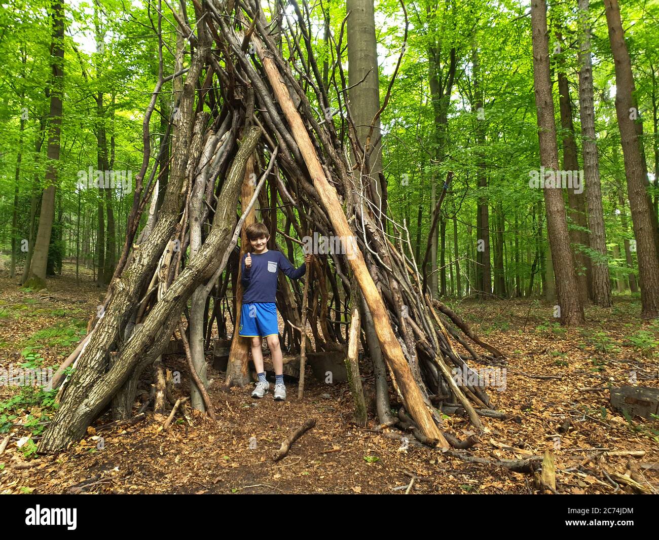 Faggio comune (Fagus sylvatica), ragazzino in una capanna fatta di tronchi e rami su un parco giochi forestale, Germania, Nord Reno-Westfalia Foto Stock