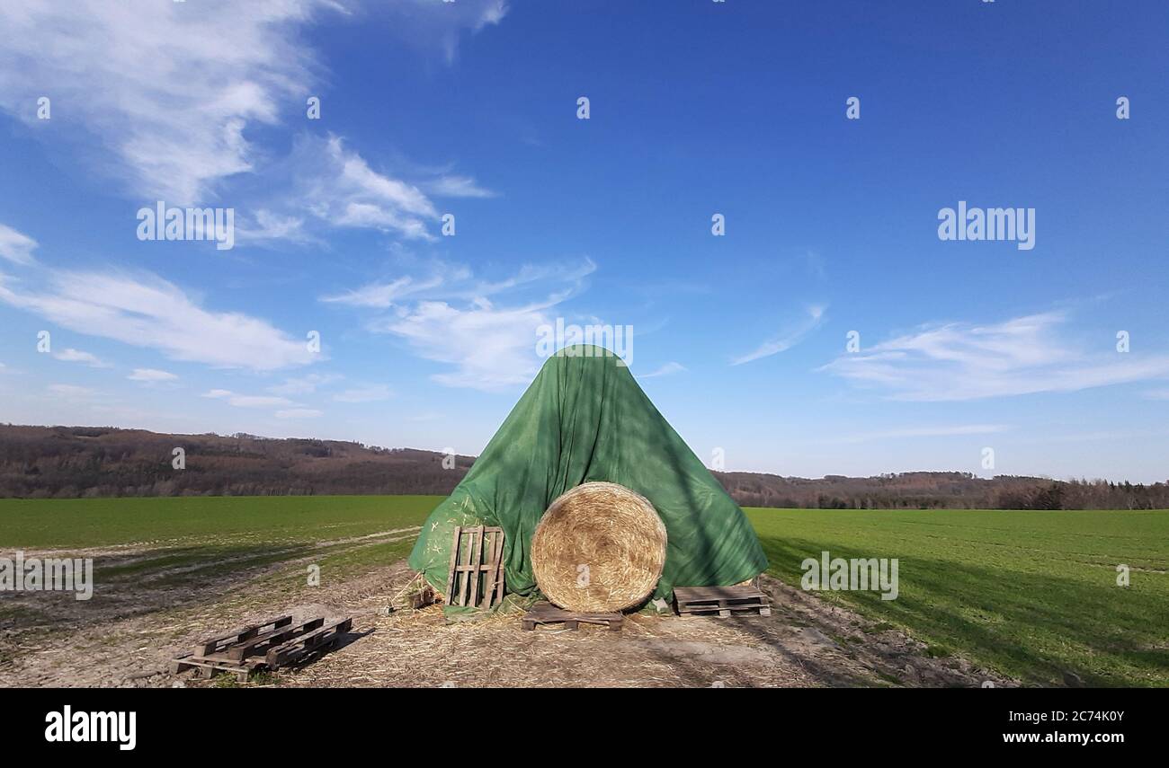 Balla paglia, protetta dagli agenti atmosferici, Germania Foto Stock