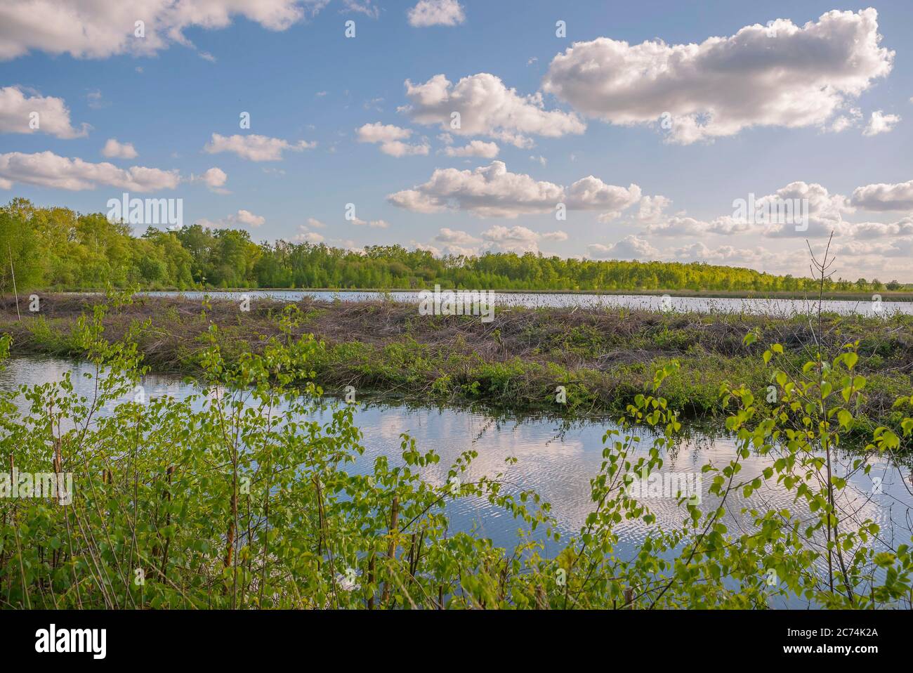 Un tratto di acqua smorzata sull'ex zona di estrazione della torba, in Germania, Schleswig-Holstein Foto Stock